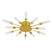 Купить Потолочная люстра Arte Lamp Maple A1276PL-12GO в Туле