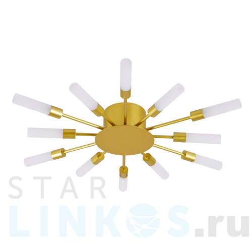 Купить Потолочная люстра Arte Lamp Maple A1276PL-12GO за 3 310 руб. в Туле Купить с доставкой Потолочная люстра Arte Lamp Maple A1276PL-12GO в Туле