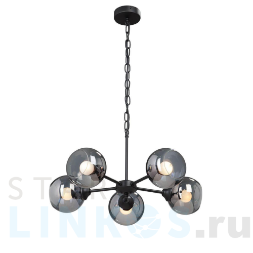 Купить Подвесная люстра Vitaluce V4482-1/5 за 7 310 руб. в Туле Купить с доставкой Подвесная люстра Vitaluce V4482-1/5 в Туле