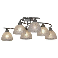 Купить Потолочная люстра Lussole Zungoli GRLSF-1603-06 в Туле