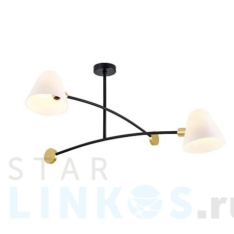 Купить Подвесная люстра Favourite Statera 3045-2P за 25 200 руб. в Туле фото 2 Купить с доставкой Подвесная люстра Favourite Statera 3045-2P в Туле фото 2