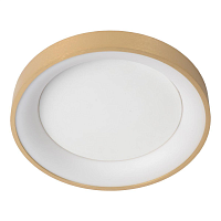 Купить Потолочный светодиодный светильник Lucide Vidal 46103/20/02 в Туле