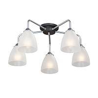 Купить Потолочная люстра Vitaluce V4952-9/5PL в Туле