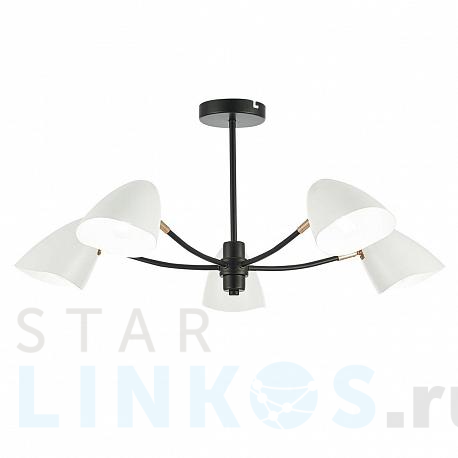 Купить Потолочная люстра Evoluce Satta SLE103602-05 за 12 790 руб. в Туле фото 2 Купить с доставкой Потолочная люстра Evoluce Satta SLE103602-05 в Туле фото 2