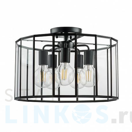 Купить Потолочная люстра Lightstar Genni 798257 за 25 000 руб. в Туле фото 2 Купить с доставкой Потолочная люстра Lightstar Genni 798257 в Туле фото 2