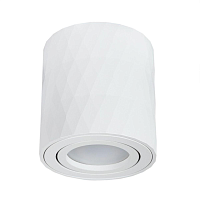 Купить Потолочный светильник Arte Lamp Fang A5559PL-1WH в Туле