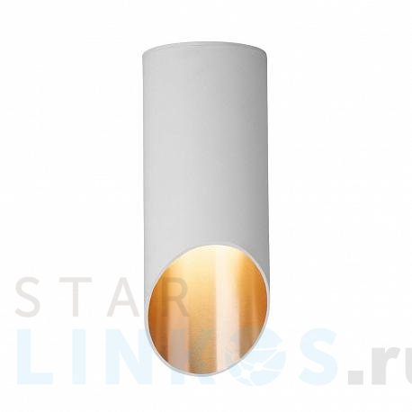 Купить Потолочный светильник Elektrostandard DLN114 GU10 белый/золото a050119 за 983 руб. в Туле фото 2 Купить с доставкой Потолочный светильник Elektrostandard DLN114 GU10 белый/золото a050119 в Туле фото 2