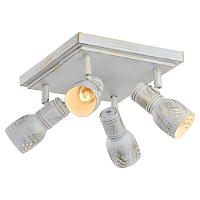 Купить Спот Lussole Lgo LSP-8056 в Туле