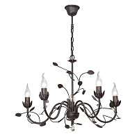 Купить Подвесная люстра Vitaluce V1661-1/5 в Туле