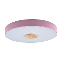 Купить Потолочный светодиодный светильник Loft IT Axel 10003/24 pink в Туле