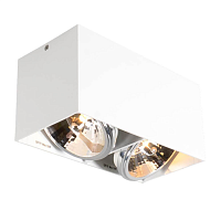 Купить Потолочный светильник Zumaline Box sl2 89949-G9 в Туле