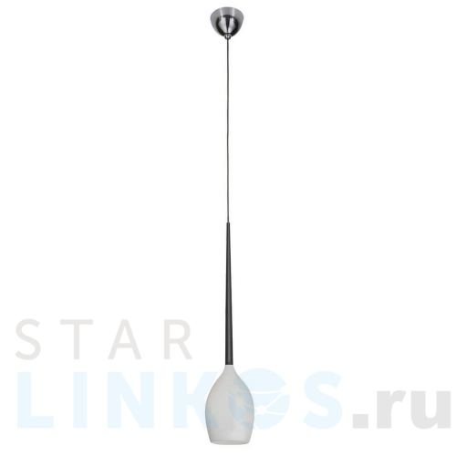 Купить Подвесной светильник Lightstar Meta Duovo 807110 за 7 040 руб. в Туле Купить с доставкой Подвесной светильник Lightstar Meta Duovo 807110 в Туле