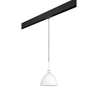 Купить Трековый светильник Lightstar Agola (810020+595007) PRO810020 в Туле