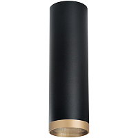 Купить Потолочный светильник Lightstar Rullo (216497+203490) R6497490 в Туле