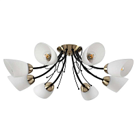 Купить Потолочная люстра Lumion Comfi Eliana 4592/8C в Туле