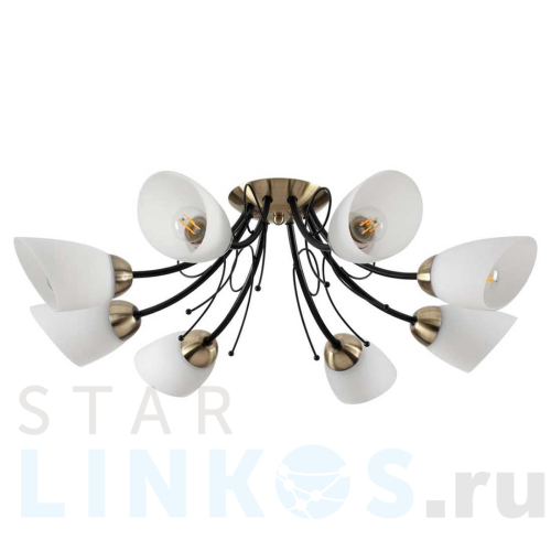 Купить Потолочная люстра Lumion Comfi Eliana 4592/8C за 11 200 руб. в Туле Купить с доставкой Потолочная люстра Lumion Comfi Eliana 4592/8C в Туле