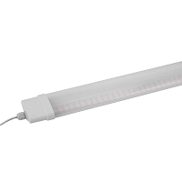 Купить Настенный светодиодный светильник ЭРА Prom Fito-36W-RB-N Б0045697 в Туле