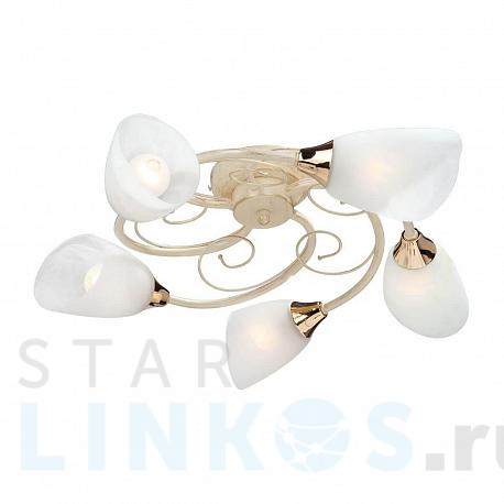 Купить Потолочная люстра Vitaluce V3663/5PL за 7 150 руб. в Туле фото 2 Купить с доставкой Потолочная люстра Vitaluce V3663/5PL в Туле фото 2