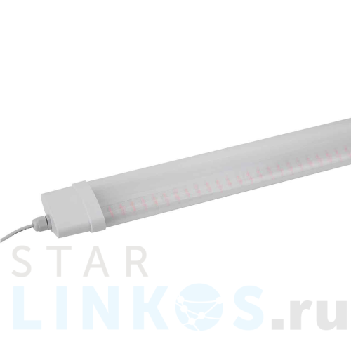 Купить с доставкой Настенный светодиодный светильник ЭРА Prom Fito-36W-RB-N Б0045697 в Туле