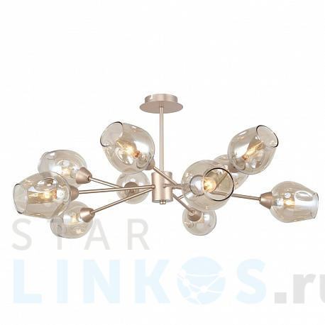 Купить Потолочная люстра F-Promo 2658-10U за 18 800 руб. в Туле фото 2 Купить с доставкой Потолочная люстра F-Promo 2658-10U в Туле фото 2