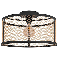 Купить Потолочный светильник Eglo Dellow 43603 в Туле