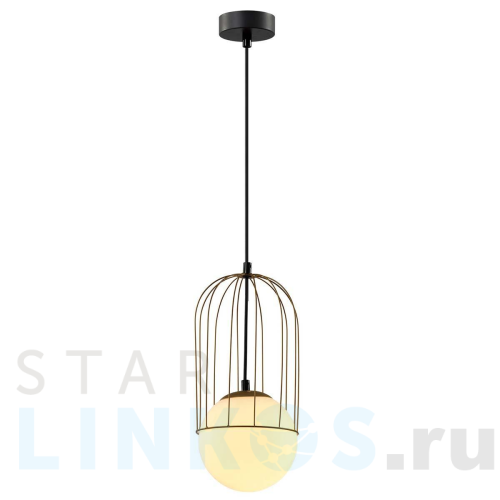 Купить Подвесной светильник Rivoli Bethany 4107-201 Б0057923 за 5 628 руб. в Туле Купить с доставкой Подвесной светильник Rivoli Bethany 4107-201 Б0057923 в Туле