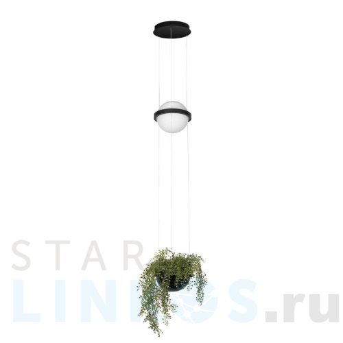 Купить Подвесной светильник LOFT IT Jardin 10121/B за 21 960 руб. в Туле Купить с доставкой Подвесной светильник LOFT IT Jardin 10121/B в Туле