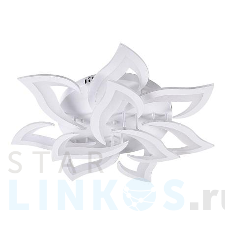 Купить Потолочная светодиодная люстра Natali Kovaltseva Led Lamps 81224 за 13 758 руб. в Туле фото 2 Купить с доставкой Потолочная светодиодная люстра Natali Kovaltseva Led Lamps 81224 в Туле фото 2