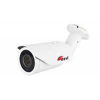 Купить Видеокамера IP ESVI EVC-ZM60-S20-P/C(2.8-12) в Туле