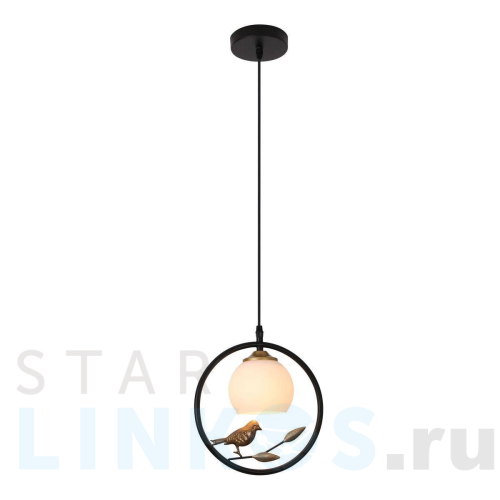 Купить Подвесной светильник Escada 1113/1S Black за 4 650 руб. в Туле Купить с доставкой Подвесной светильник Escada 1113/1S Black в Туле