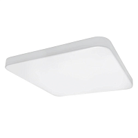 Купить Накладной светодиодный светильник Lightstar Arco 226262 в Туле