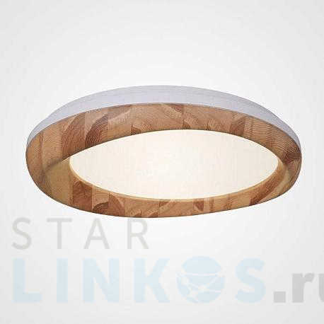 Купить Потолочный светодиодный светильник Imperium Loft Runis 219476-26 за 61 440 руб. в Туле фото 2 Купить с доставкой Потолочный светодиодный светильник Imperium Loft Runis 219476-26 в Туле фото 2