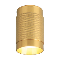 Купить Потолочный светильник Elektrostandard Tony DLN109 GU10 золото a047741 в Туле