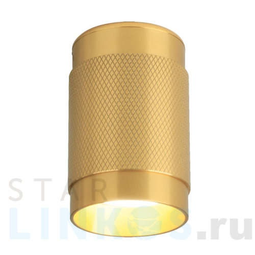 Купить с доставкой Потолочный светильник Elektrostandard Tony DLN109 GU10 золото a047741 в Туле