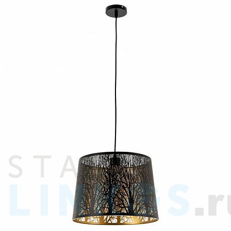 Купить Подвесной светильник Arte Lamp Celesta A2769SP-1BK за 6 990 руб. в Туле фото 2 Купить с доставкой Подвесной светильник Arte Lamp Celesta A2769SP-1BK в Туле фото 2