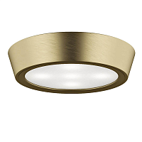 Купить Потолочный светильник Lightstar Urbano Mini LED 214714 в Туле