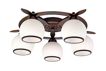 Купить Потолочная люстра Omnilux OML-50507-05 в Туле