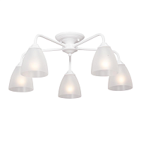 Купить Потолочная люстра Vitaluce V3946-0/5PL в Туле