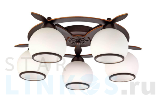 Купить Потолочная люстра Omnilux OML-50507-05 за 11 240 руб. в Туле Купить с доставкой Потолочная люстра Omnilux OML-50507-05 в Туле