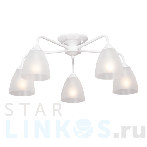 Купить Потолочная люстра Vitaluce V3946-0/5PL за 4 174 руб. в Туле Купить с доставкой Потолочная люстра Vitaluce V3946-0/5PL в Туле