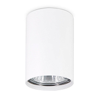 Купить Потолочный светильник Ambrella light Techno Spot TN213101 в Туле