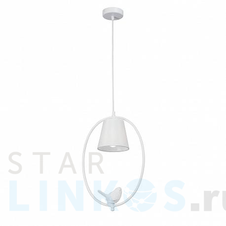 Купить Подвесной светильник Vitaluce V2918-0/1S за 4 111 руб. в Туле фото 2 Купить с доставкой Подвесной светильник Vitaluce V2918-0/1S в Туле фото 2