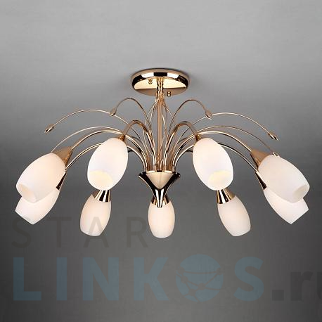 Купить Потолочная люстра Eurosvet 22080/9 золото за 15 200 руб. в Туле фото 2 Купить с доставкой Потолочная люстра Eurosvet 22080/9 золото в Туле фото 2
