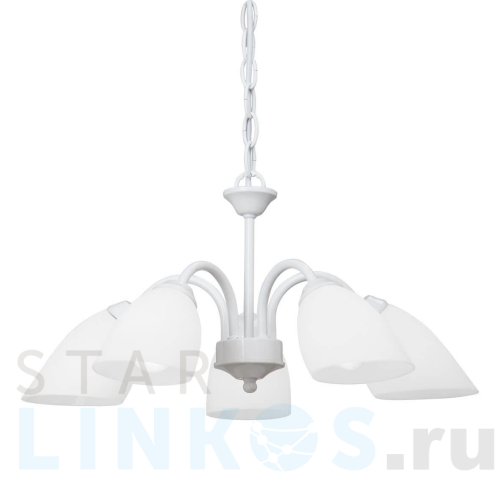 Купить Подвесная люстра Vitaluce V3336/5 за 4 644 руб. в Туле Купить с доставкой Подвесная люстра Vitaluce V3336/5 в Туле