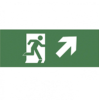 Купить Пиктограмма ЭРА INFO-DBA-008 Б0048460 в Туле