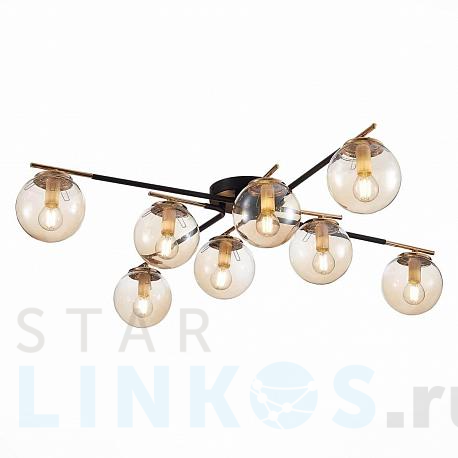 Купить Потолочная люстра Evoluce LITERNO SLE106902-08 за 11 680 руб. в Туле фото 2 Купить с доставкой Потолочная люстра Evoluce LITERNO SLE106902-08 в Туле фото 2