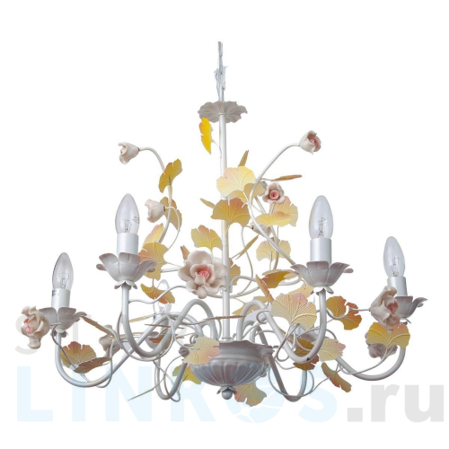 Купить Подвесная люстра Abrasax Suzanne SD0979/6 за 16 861 руб. в Туле Купить с доставкой Подвесная люстра Abrasax Suzanne SD0979/6 в Туле