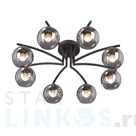 Купить Потолочная люстра Vitaluce V4285-1/8PL за 20 808 руб. в Туле фото 2 Купить с доставкой Потолочная люстра Vitaluce V4285-1/8PL в Туле фото 2