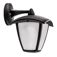 Купить Уличный настенный светодиодный светильник Lightstar Lampione 375680 в Туле