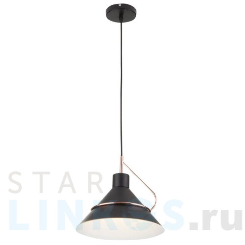 Купить Подвесной светильник Freya Amis FR5025PL-01B за 4 361 руб. в Туле Купить с доставкой Подвесной светильник Freya Amis FR5025PL-01B в Туле